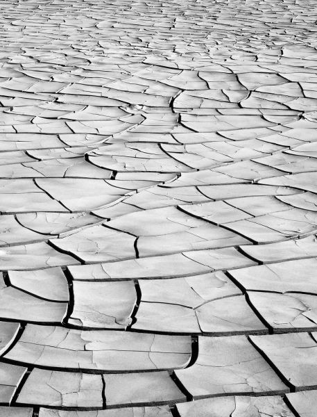 California, Death Valley Patterns in dried mud